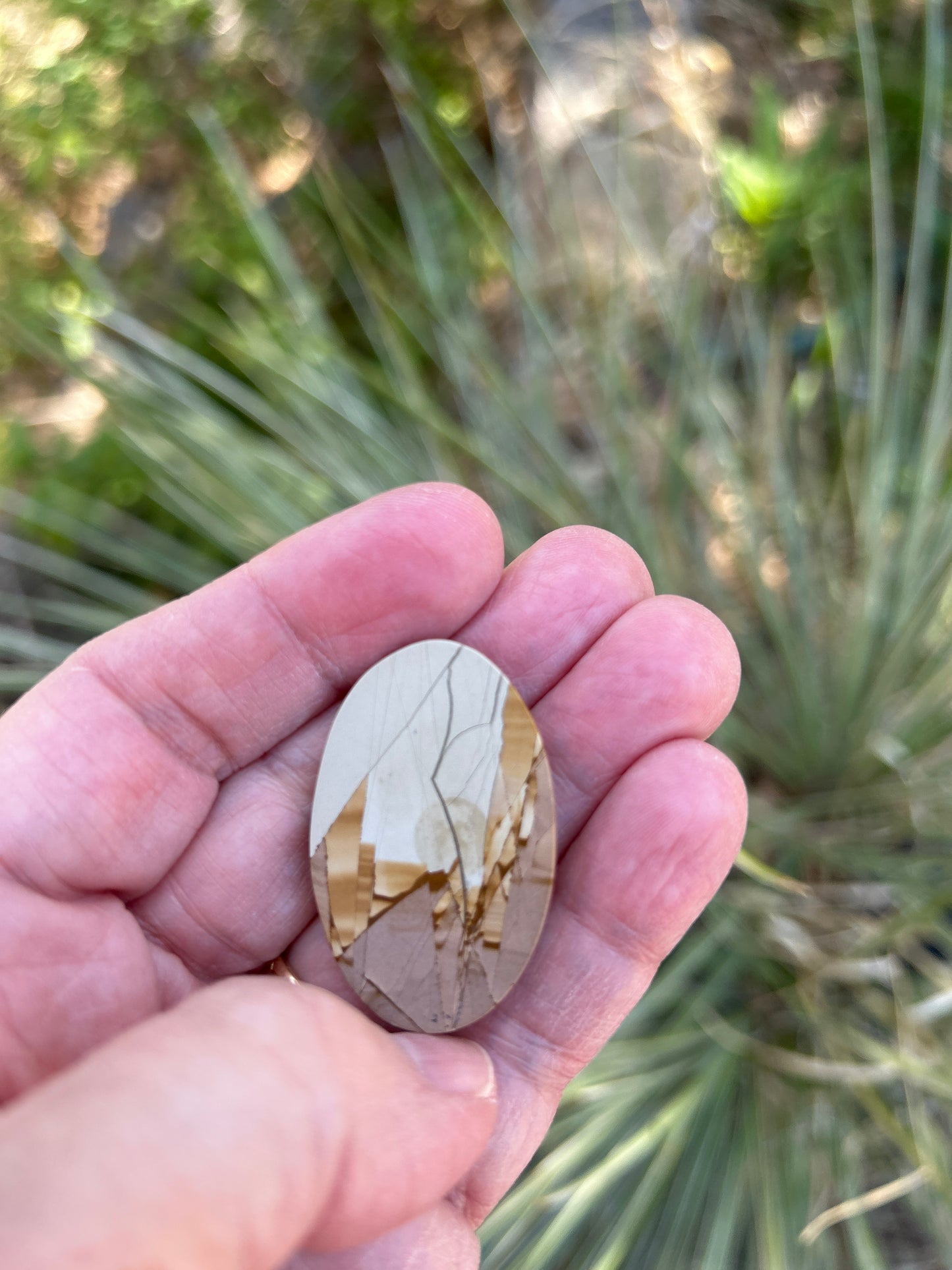 Biggs Jasper cabachon Oval 40 x 26 mm BU702