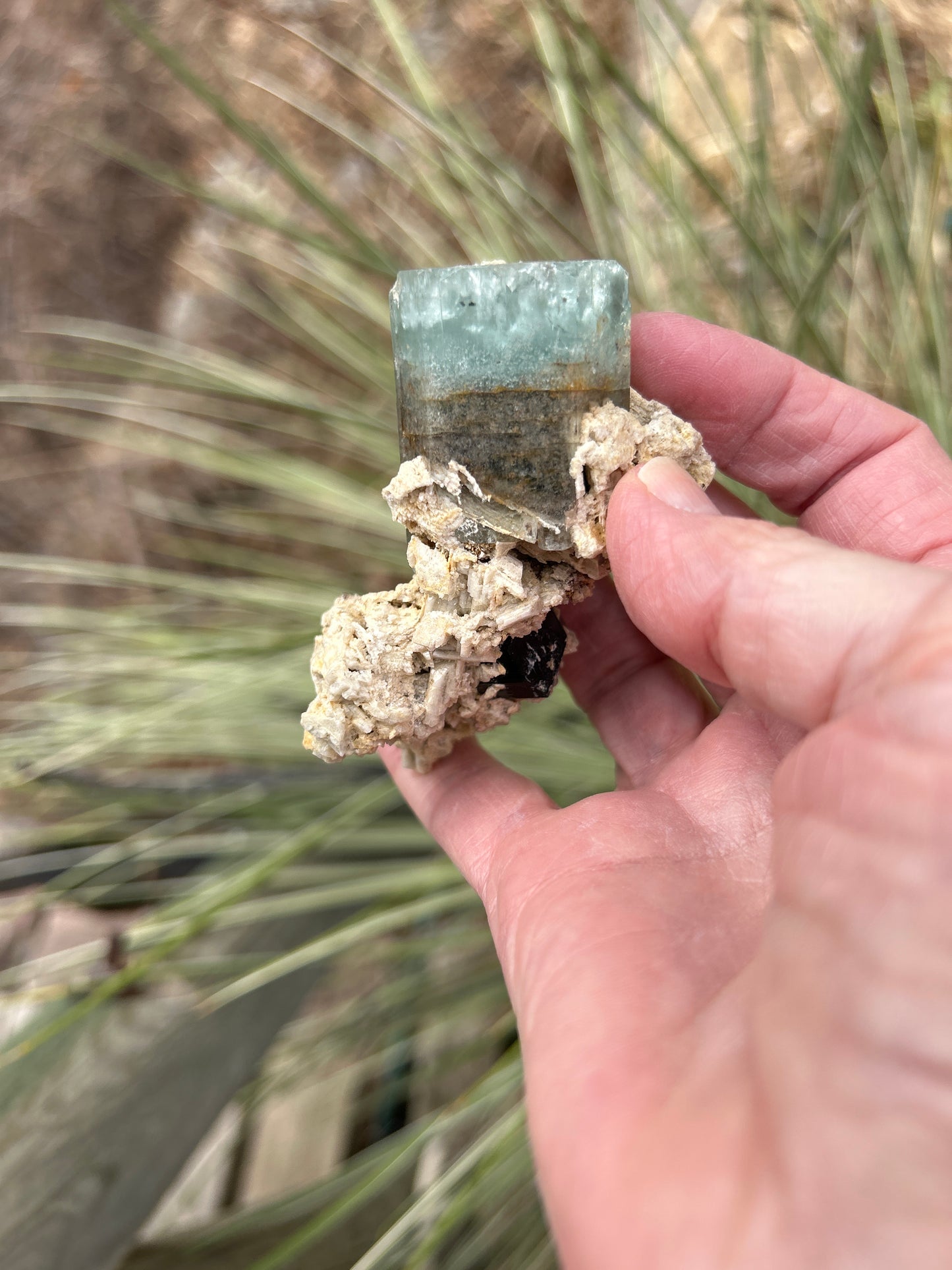 Aquamarine from Namibia (Erongo) M20