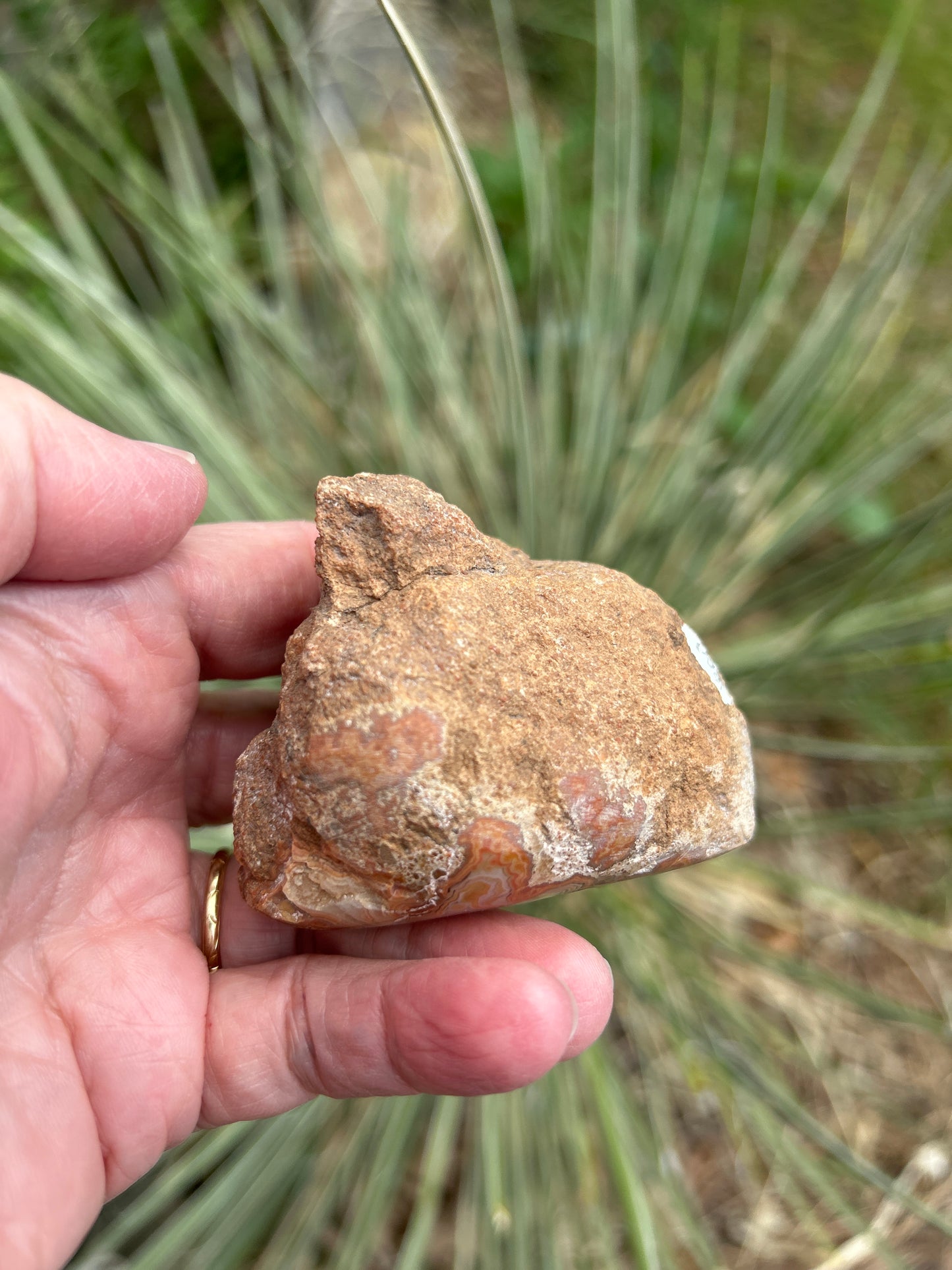 Fairburn Agate South Dakota, USA BU700