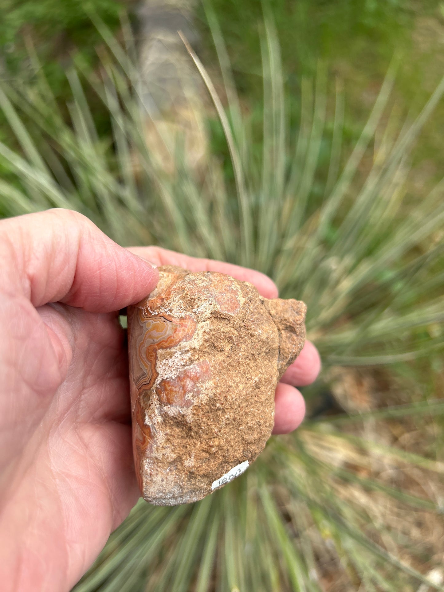 Fairburn Agate South Dakota, USA BU700