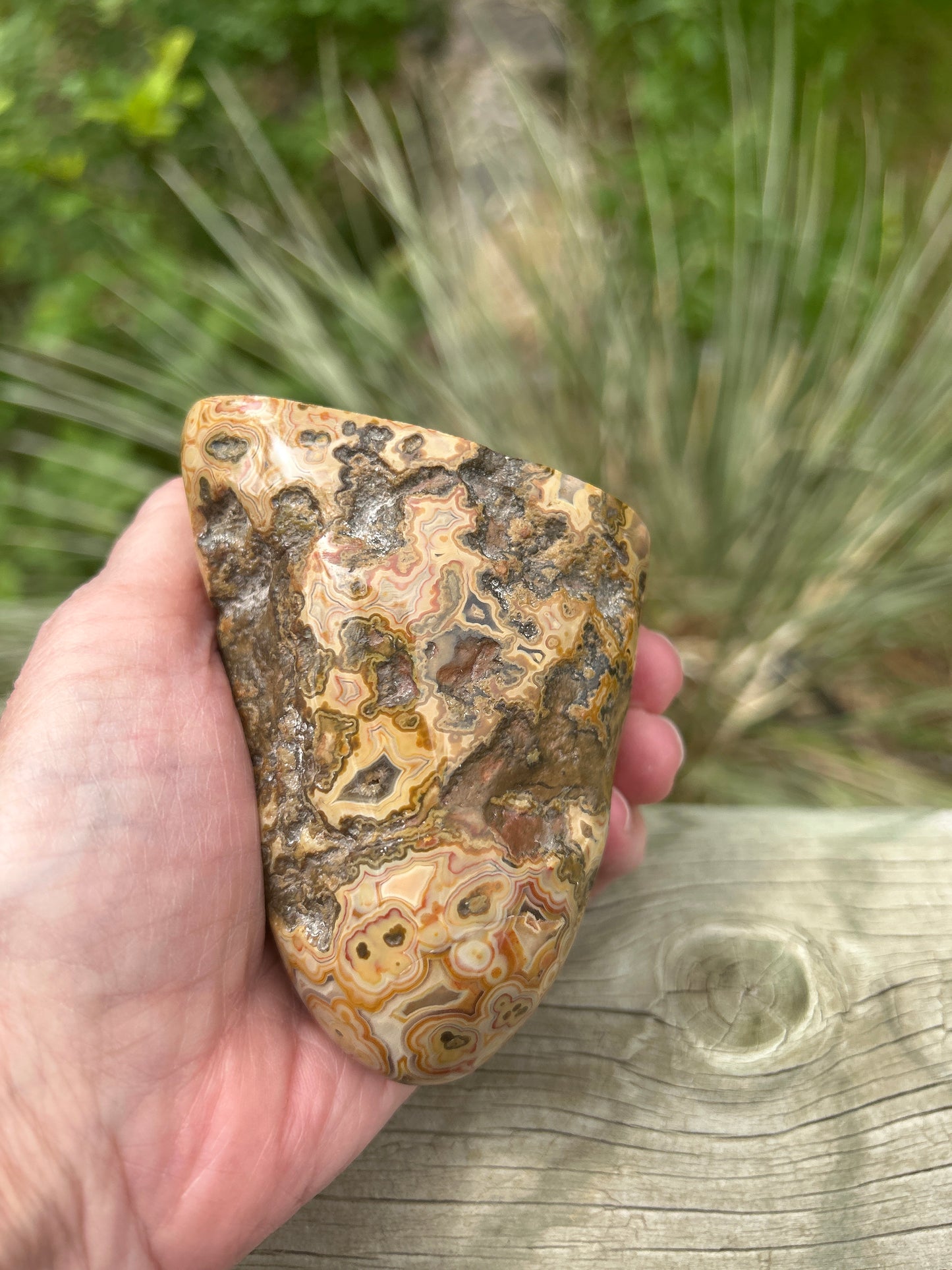 Fairburn Agate (BU 720)