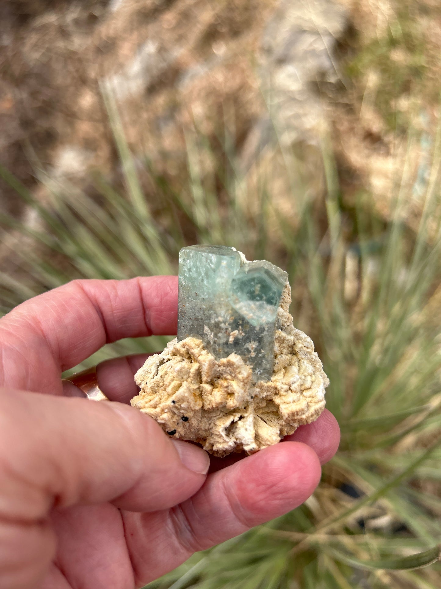 Aquamarine from Namibia (Erongo) M19