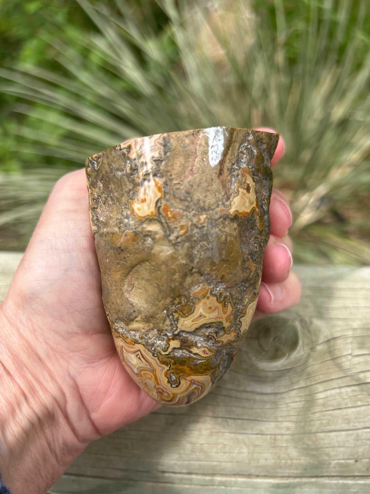 Fairburn Agate (BU 720)