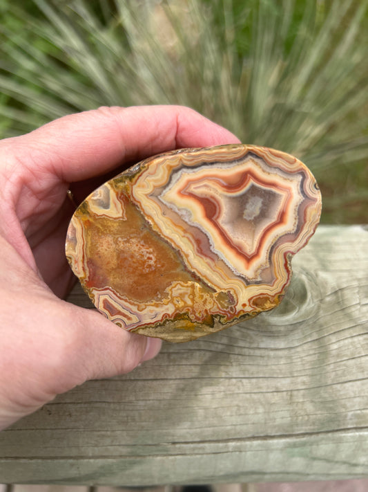 Fairburn Agate (BU 720)
