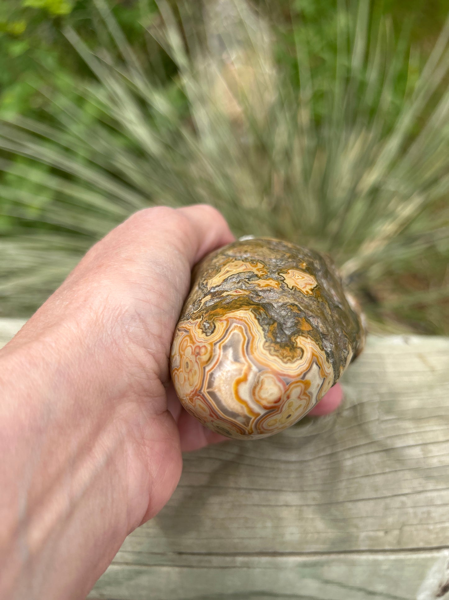 Fairburn Agate (BU 720)