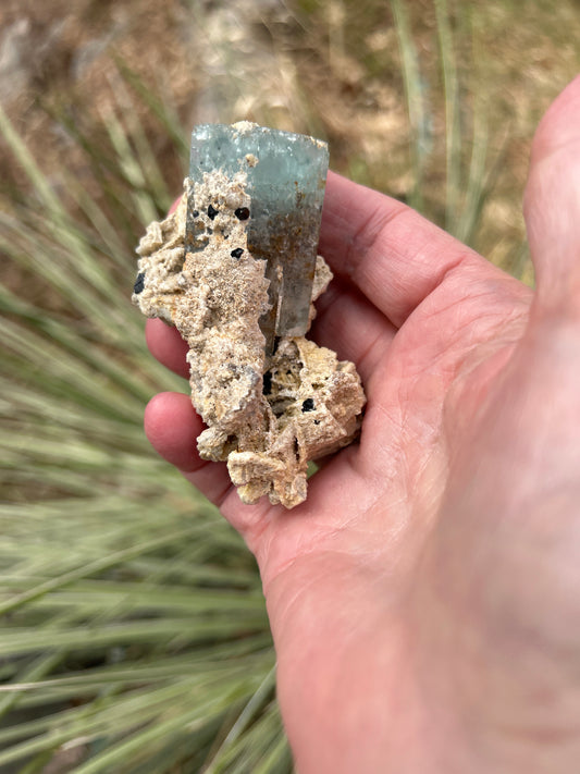 Aquamarine from Namibia (Erongo) M20