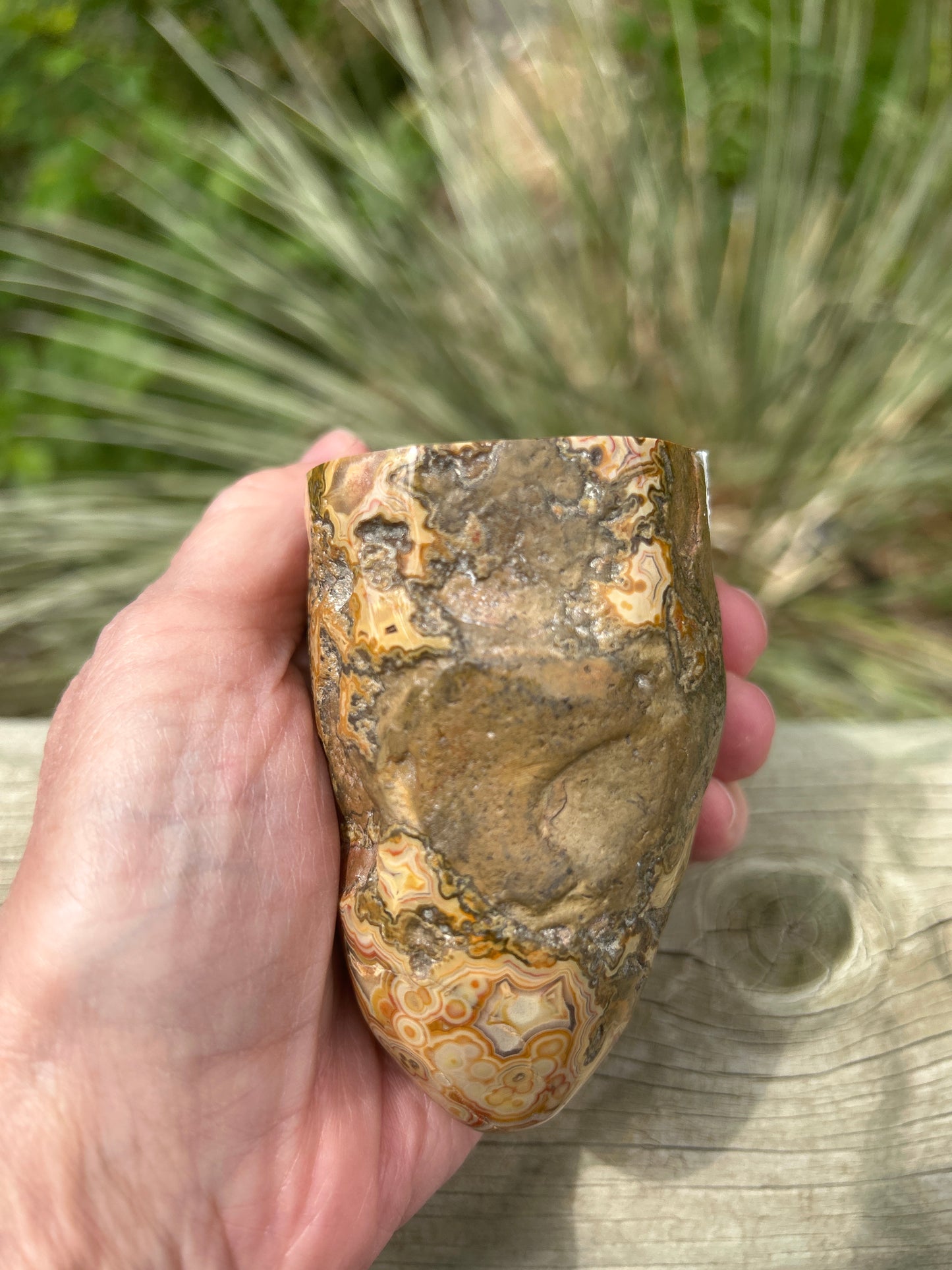 Fairburn Agate (BU 720)