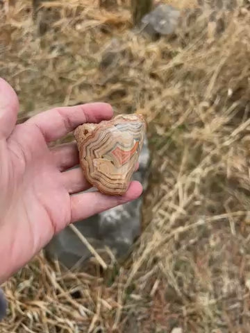 Fairburn Agate South Dakota, USA BU700
